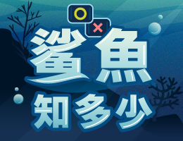 石碇高中-鯊魚知多少（115專班）