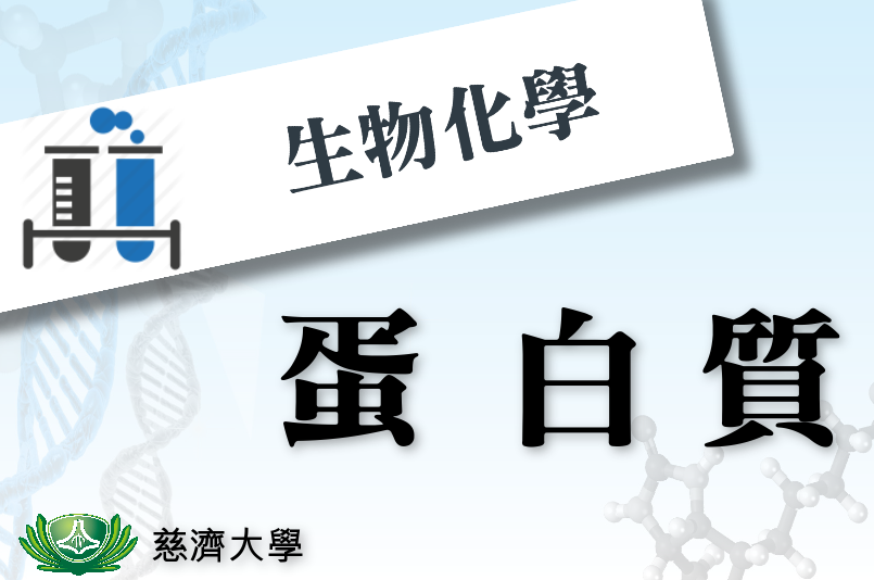 北大高中-生物化學-蛋白質小劇場（115專班）