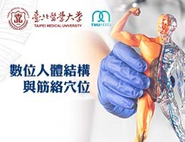 大園高中-數位人體結構及經絡穴位（115專班）